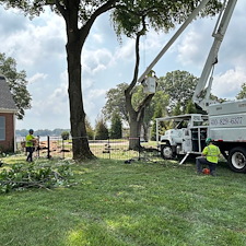 Weeping-Cherry-Tree-Removals-in-Chestertown-MD 4